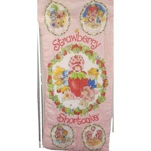 Vintage 80s Retro Strawberry Shortcake Sleeping Bag Polyester 34X 62 (Folded)